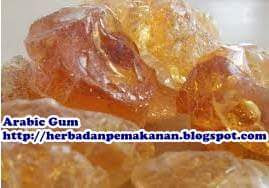 gum_arabic