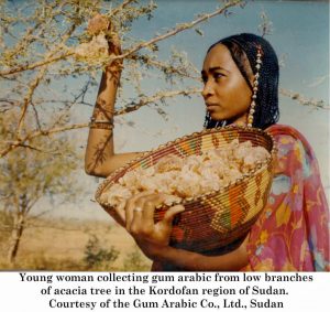 gum_arabic_woman